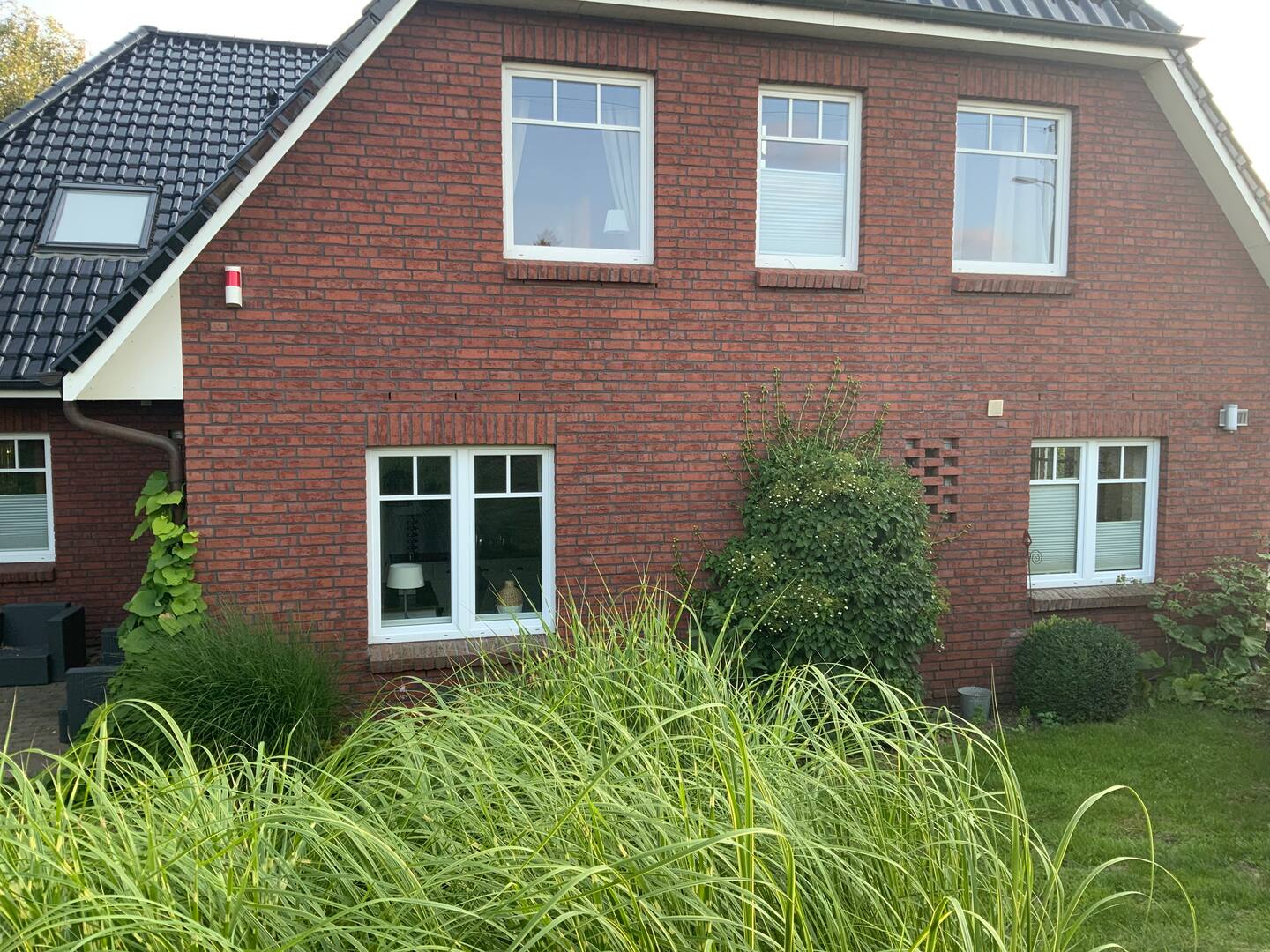 1d9ad185-6194-47ab-84d8-9479ba314e98