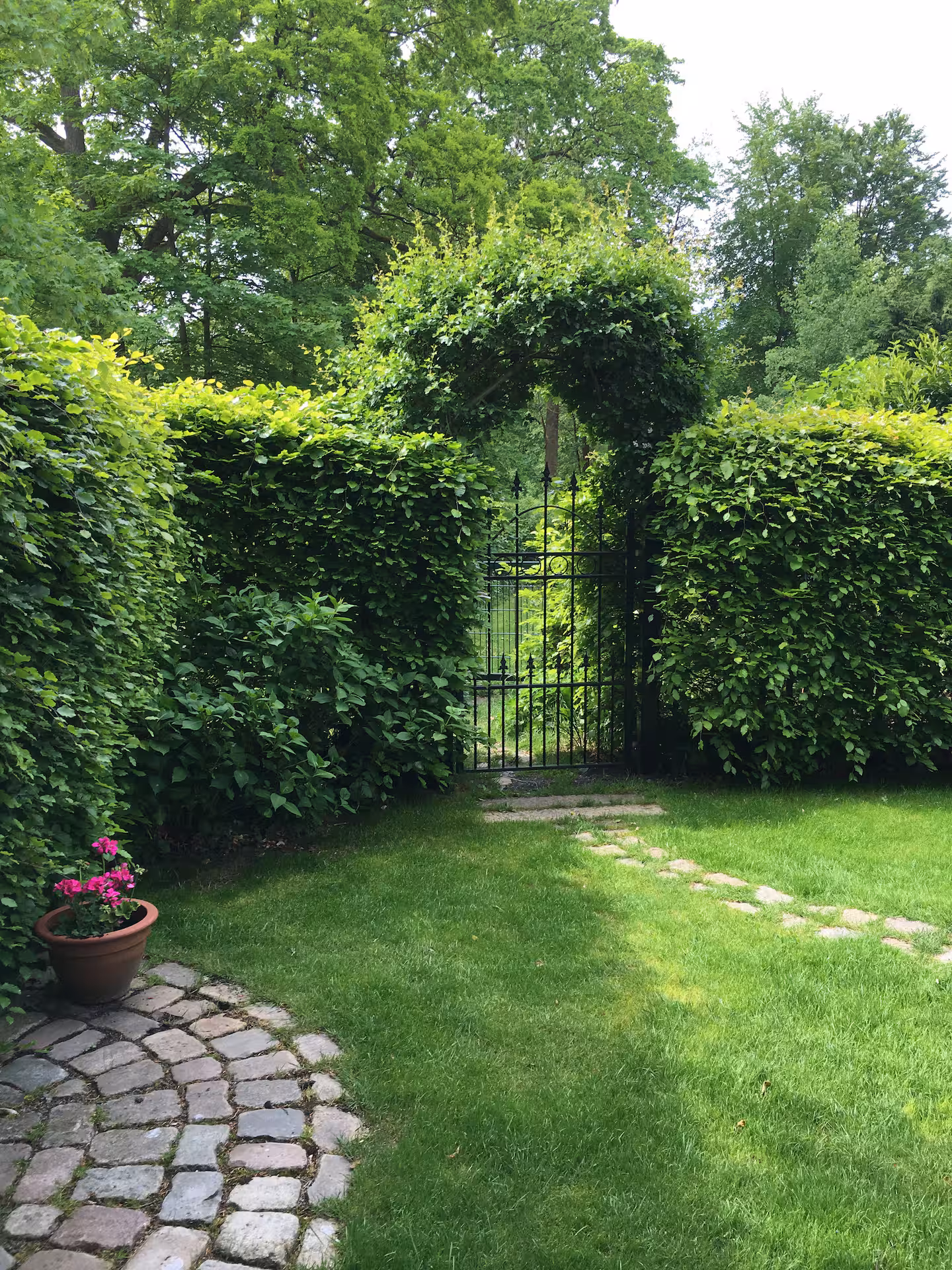 c0b827de-6570-4521-a34e-7bd1deab0bf7