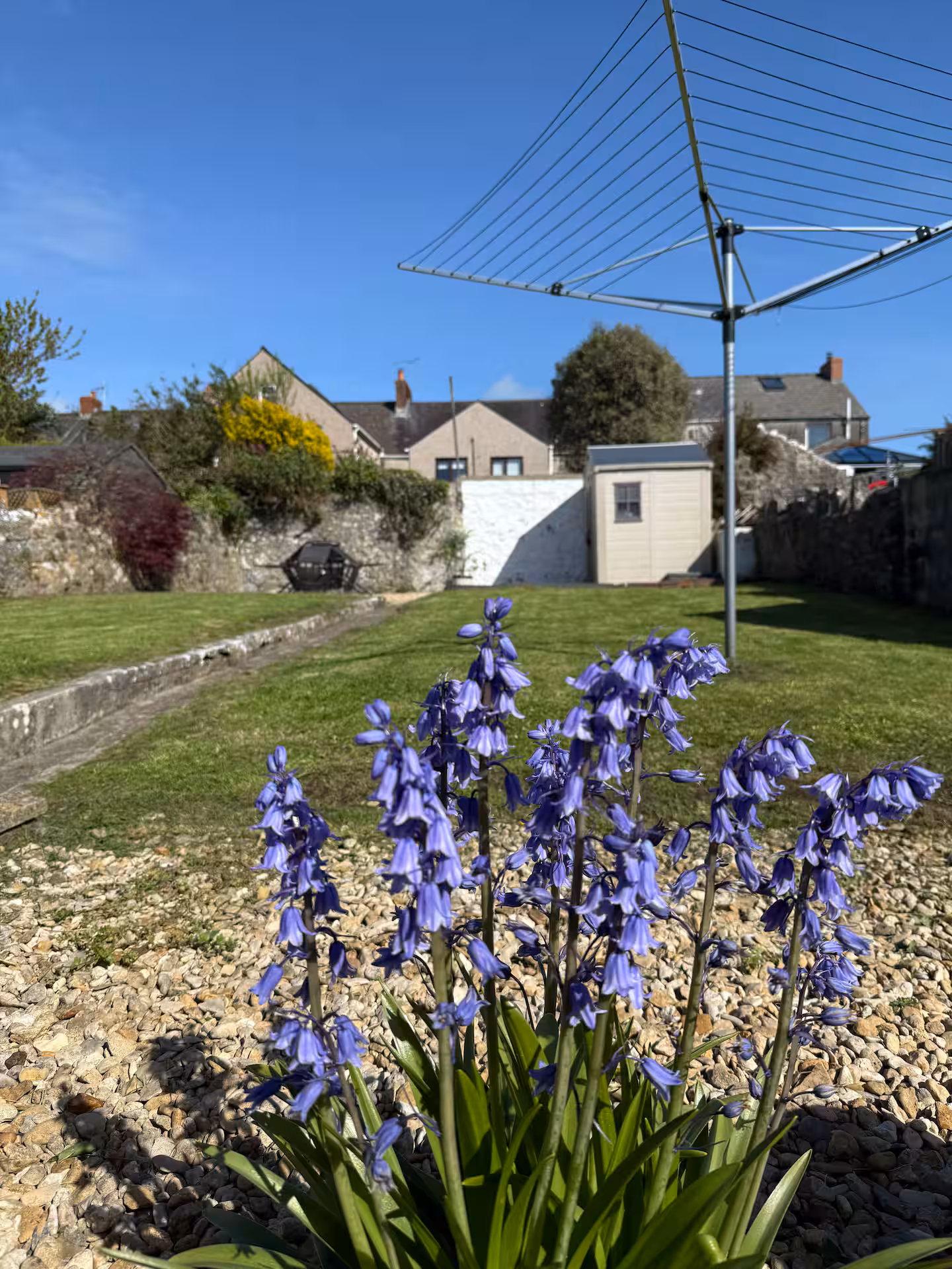 a3d07f02-15aa-453a-a1b0-472ba58d86ed