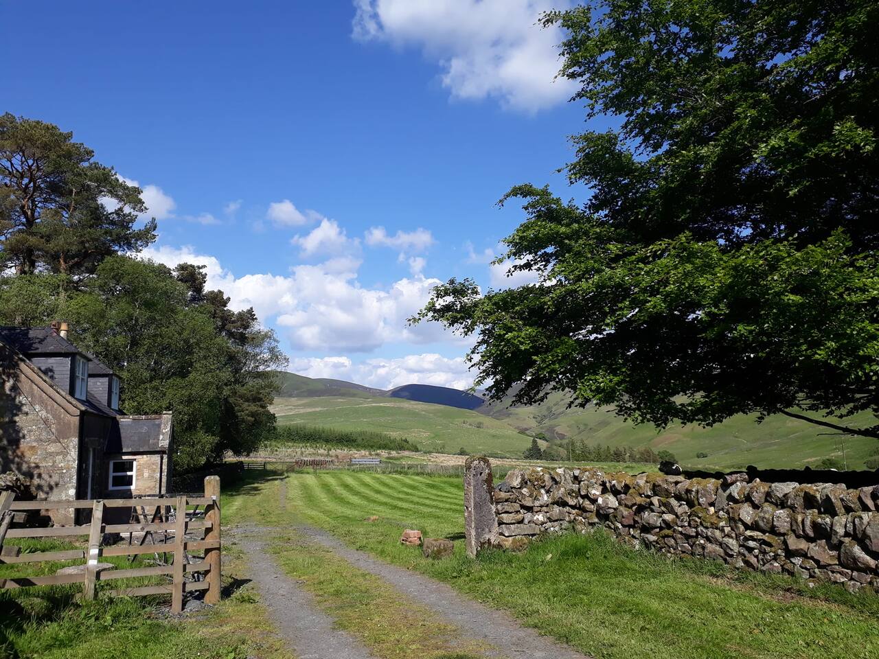 cbcb9ddc-3e27-42c1-ada5-cc6c8fd6d9db